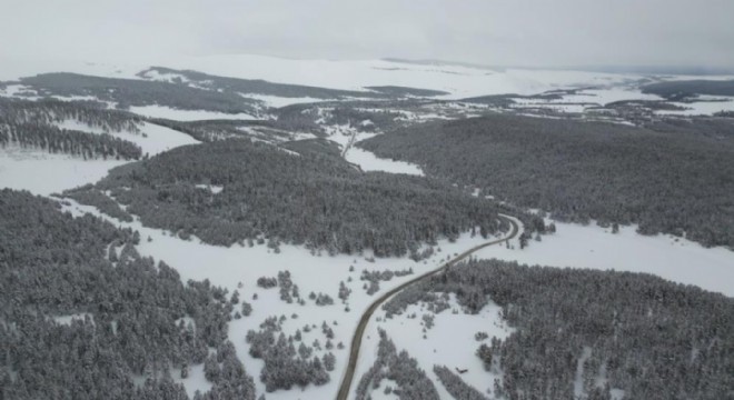 Bahar ortasında kış masalı