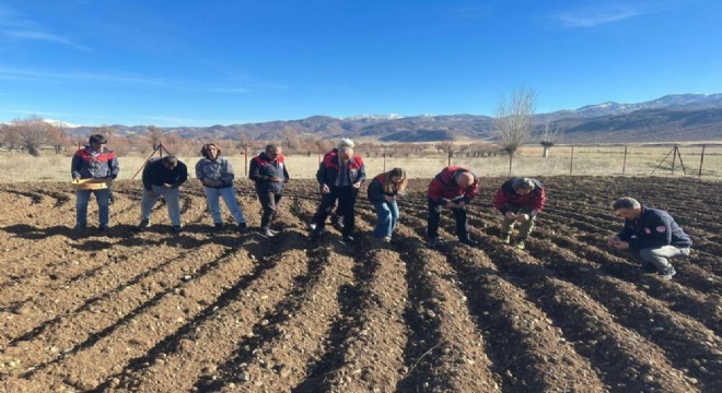 DAP BKİ den bitkisel üretime destek