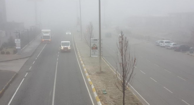 Erzincan da yoğun sis