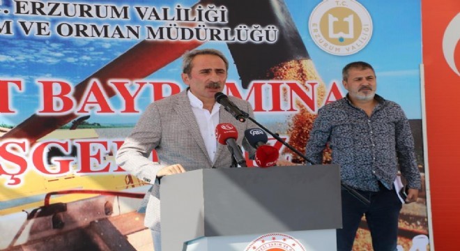 Erzurum da hasat bayramı