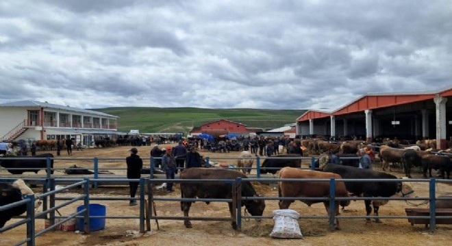 Erzurum’da kurban pazarı hareketlendi
