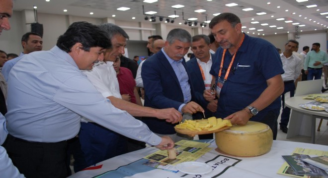 Peynir sektöründe Doğu Anadolu damgası