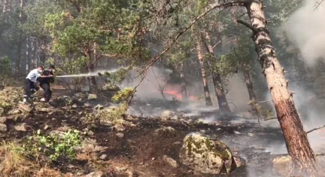 Sarıkamış’ta orman yangını söndürüldü