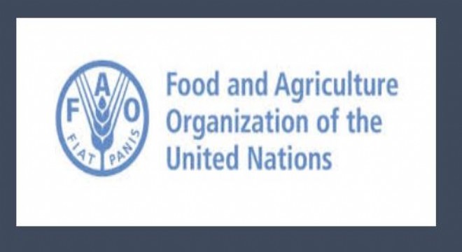 Türkiye FAO Konseyi üyeliğine seçildi