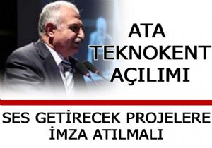 Ata Teknokent cansız