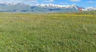 Aziziye'de dağlar çiçeklerle bezendi