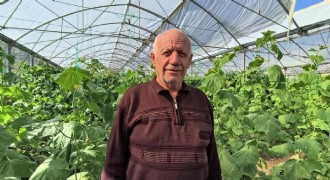Bölge sebzeciliğine sera desteği