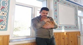 Cami imamı onlarca kediye bakıyor