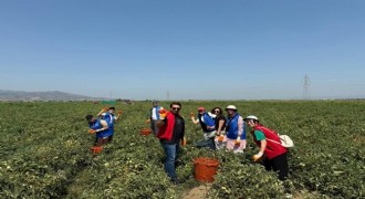 Gönüllü Hasat Etkinliği 2026 yılı takvimi açıklandı