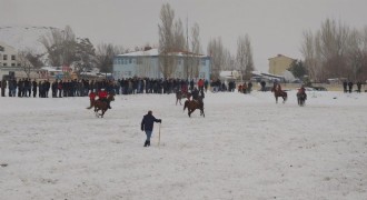 Kar üstünde cirit heyecanı