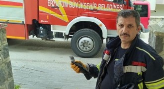 Karga yavrusuna uzanan şefkat eli