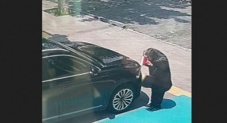 Örnek bayrak saygısı