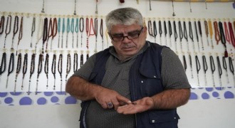 İşlediği taşta milyonlarca yıllık böcek fosili buldu