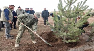 Şehit Aksu anısına ağaç diktiler