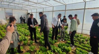 Tarımsal girdi fiyatları yıllık yüzde 31,55 arttı